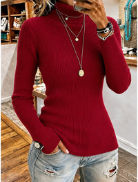 Ilaria | Damen Rollkragenpullover Feinstrick Langarm Figurbetont