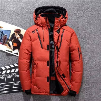 Cole | Wattierte Winterparka mit Stehkragen und Kapuze für Herren