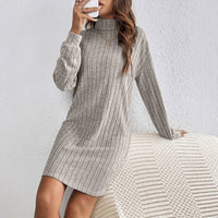 Hilde | Damen Rollkragen Strickkleid mit Langarm und Rippstruktur